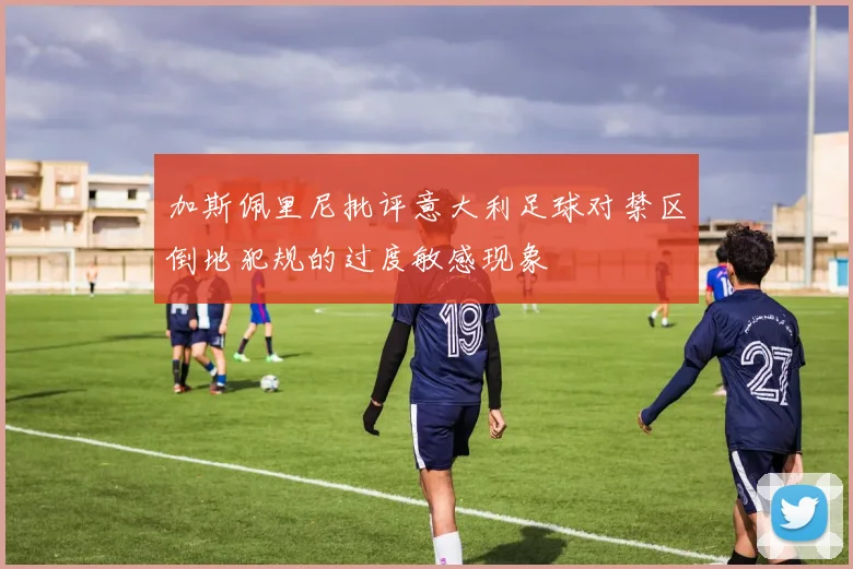 加斯佩里尼批评意大利足球对禁区倒地犯规的过度敏感现象